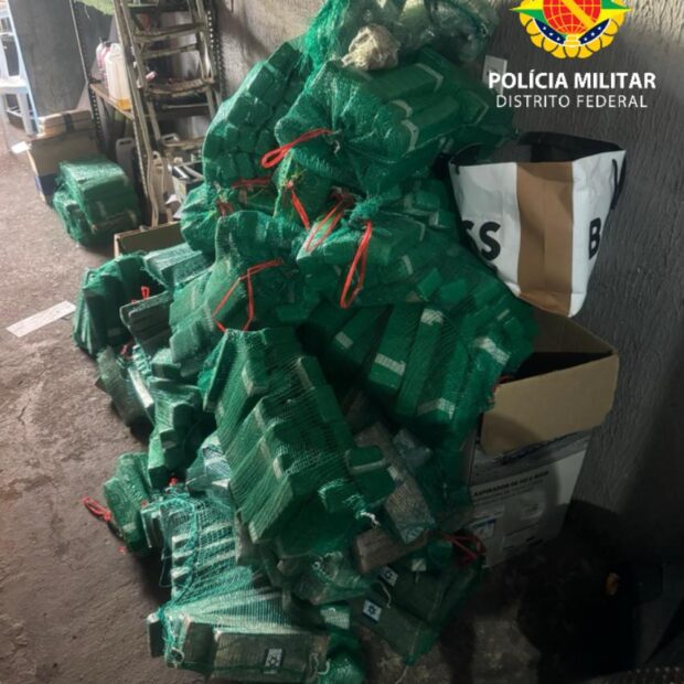 whatsapp image 2025 08 09 at 17.22.07