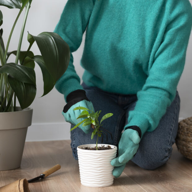 mulher trocando os vasos de suas plantas em casa durante quarentena