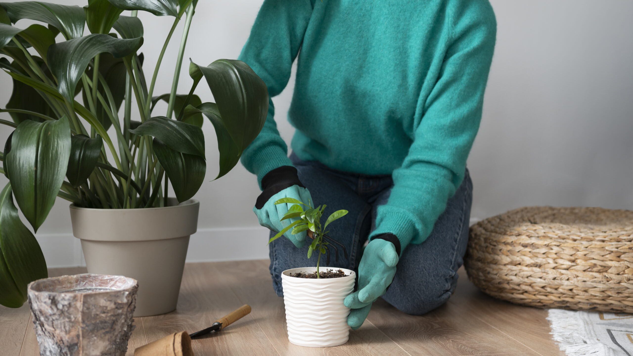 mulher trocando os vasos de suas plantas em casa durante quarentena