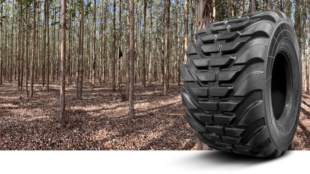 imagem do whatsapp de 2025 08 11 à(s) 14.01.58 1b061b8f