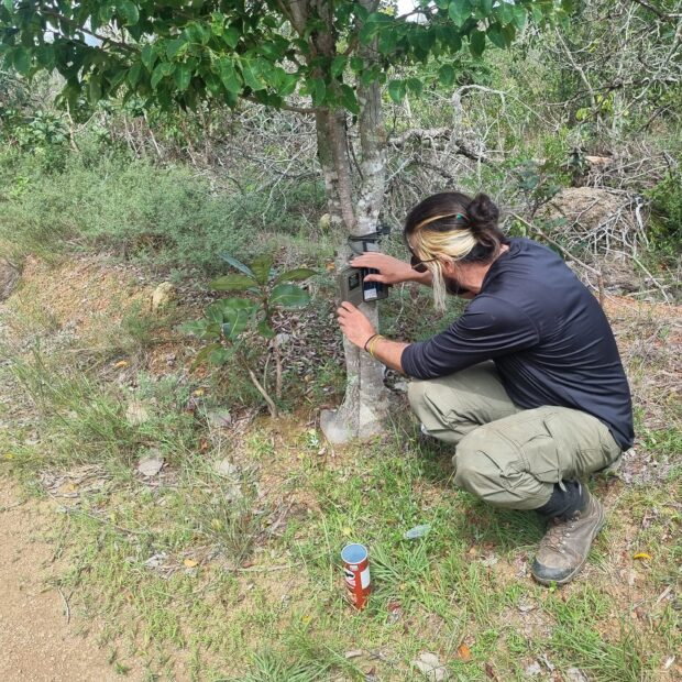 Foto: Divulgação/Brasília Ambiental