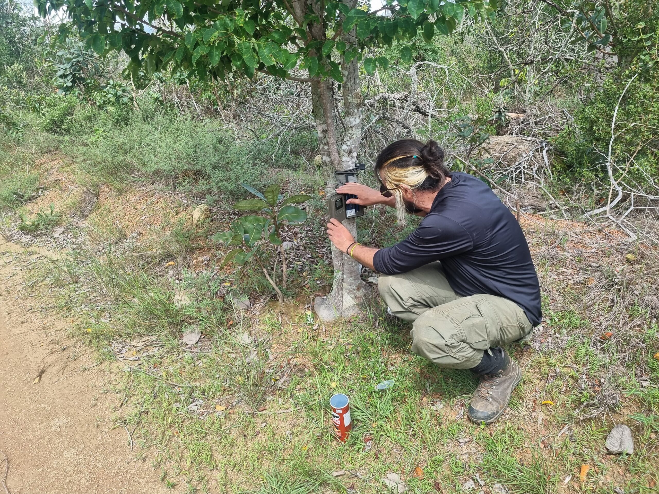 Foto: Divulgação/Brasília Ambiental