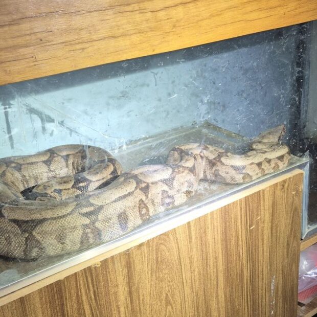 imagem do whatsapp de 2025 08 11 à(s) 21.09.13 80b03d29