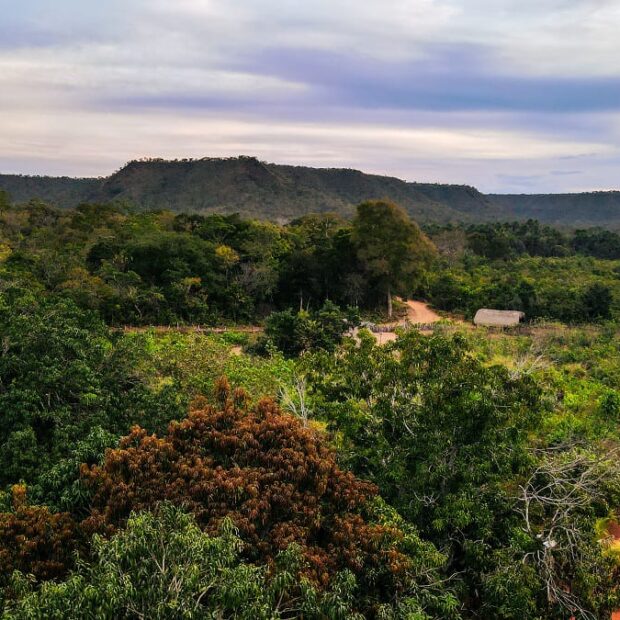 imagem do whatsapp de 2025 08 13 à(s) 12.27.10 3a1e5d55