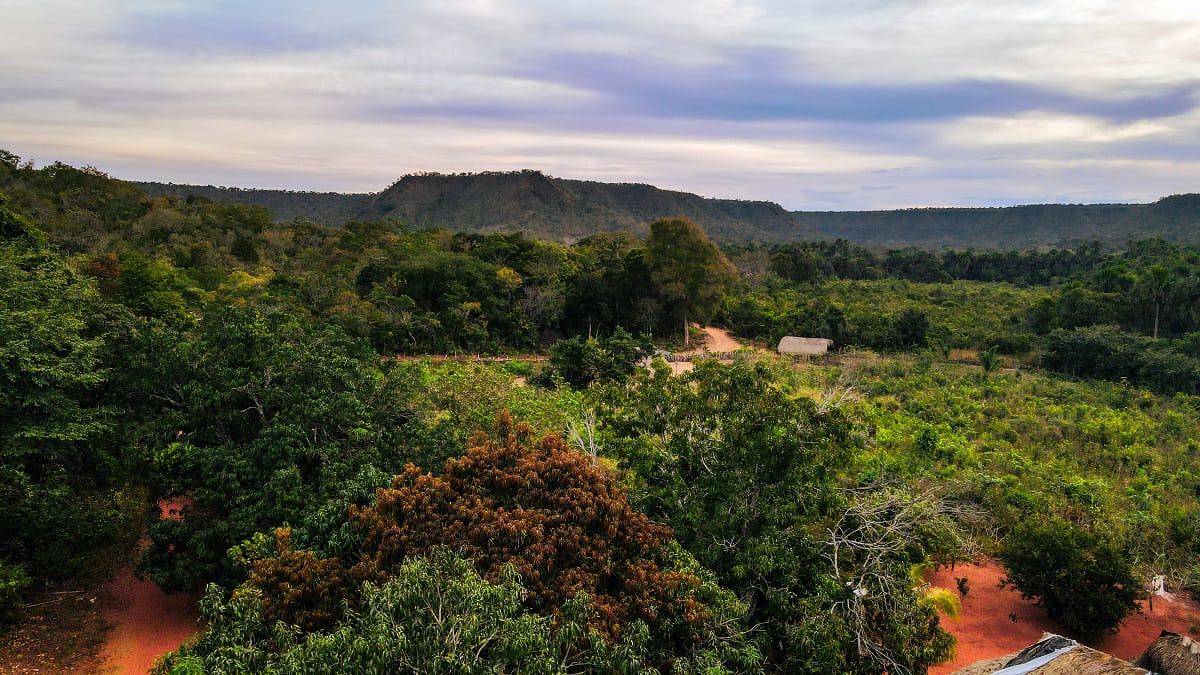 imagem do whatsapp de 2025 08 13 à(s) 12.27.10 3a1e5d55