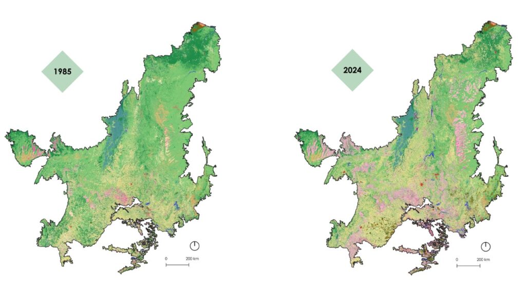 imagem do whatsapp de 2025 08 13 à(s) 12.27.10 6bfc5b99