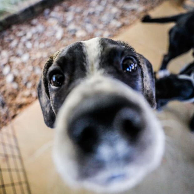 Foto: Vinícius de Melo/Seec