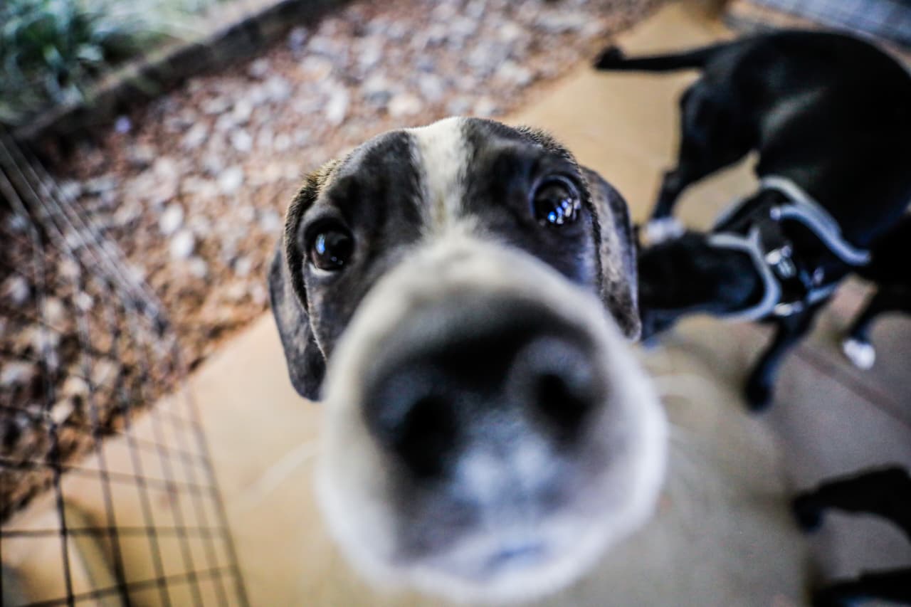 Foto: Vinícius de Melo/Seec