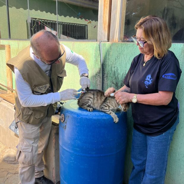 Foto: Divulgação/SES-DF