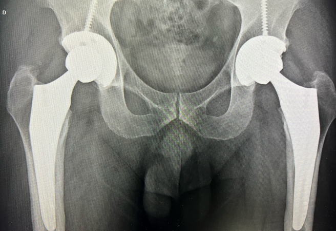 imagem do whatsapp de 2025 08 14 à(s) 13.08.34 f445b86b