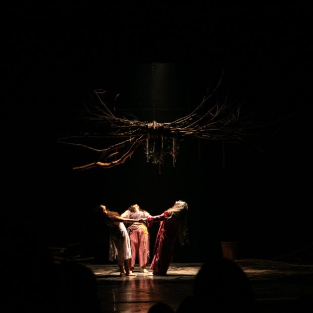 arbóreas 4 sesc gama