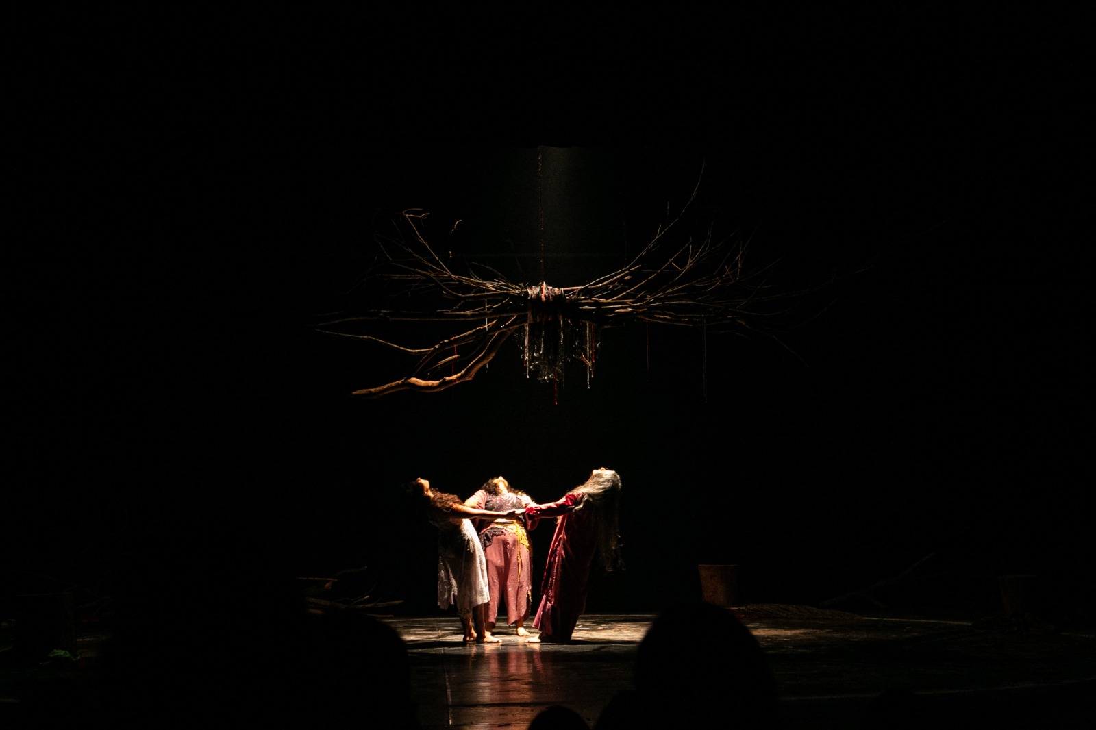 arbóreas 4 sesc gama