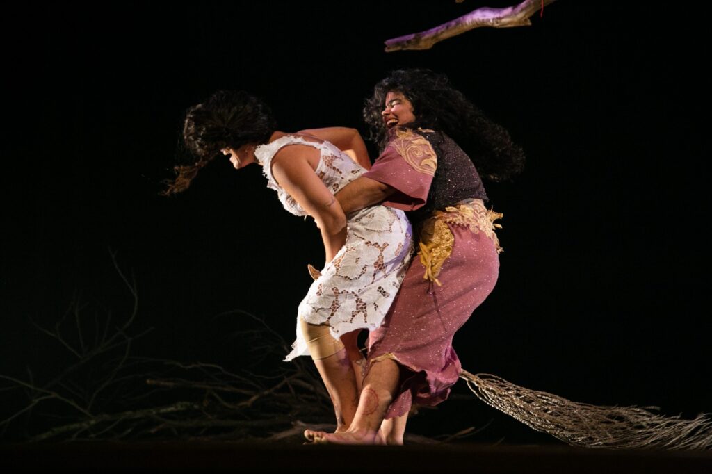 arbóreas 3 sesc gama