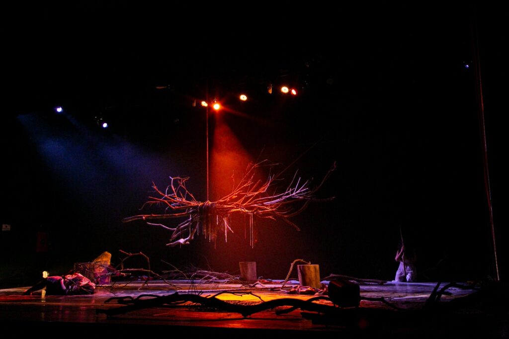 arbóreas 1 sesc gama