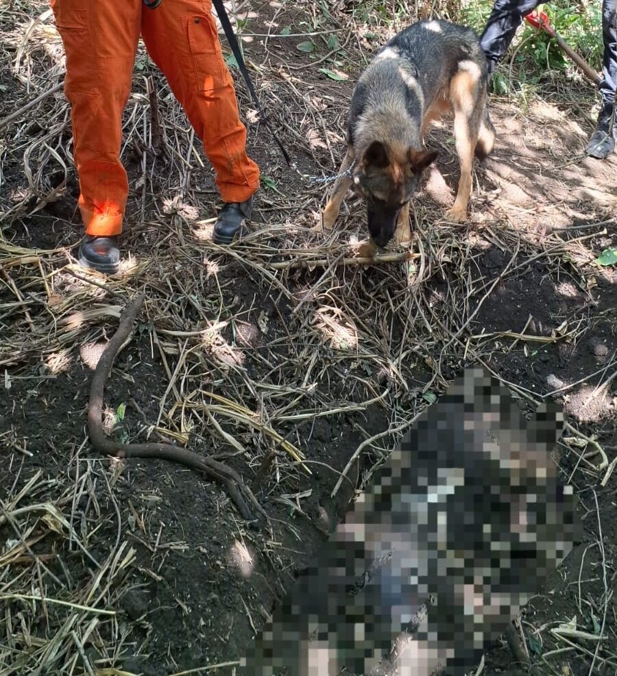 imagem do whatsapp de 2025 08 14 à(s) 18.50.31 85a25be9