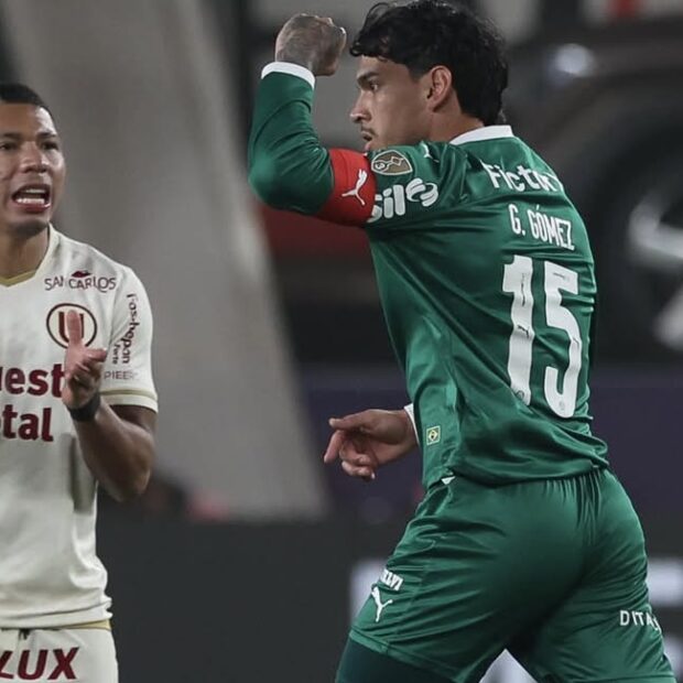 saveclip.app 533488113 1340316710786878 284954890795480769 n