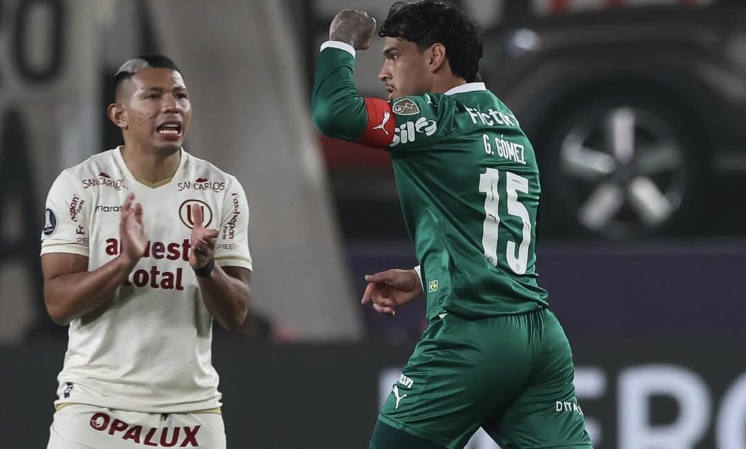 saveclip.app 533488113 1340316710786878 284954890795480769 n