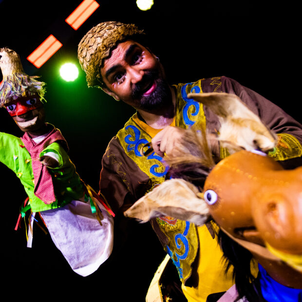 a chegança da burrinha calunga foto davi mello