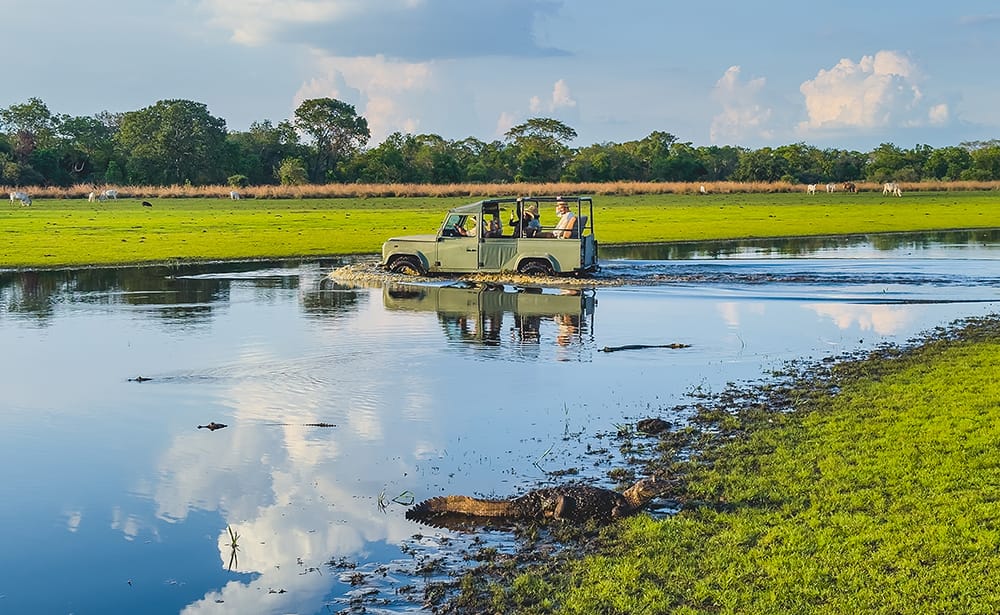 imagem do whatsapp de 2025 08 15 à(s) 16.37.01 13e619e1