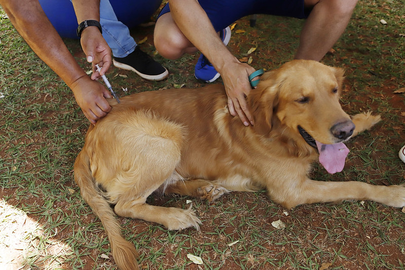 Foto: Jhonatan Cantarelle/Agência Saúde-DF