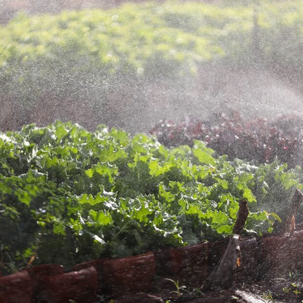 whatsapp image 2025 08 13 at 14.28.34