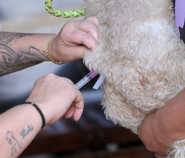 8860cc4a 9765 4ed4 9658 70b75ef696ba