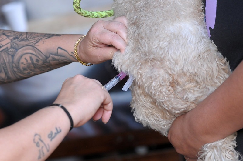 8860cc4a 9765 4ed4 9658 70b75ef696ba