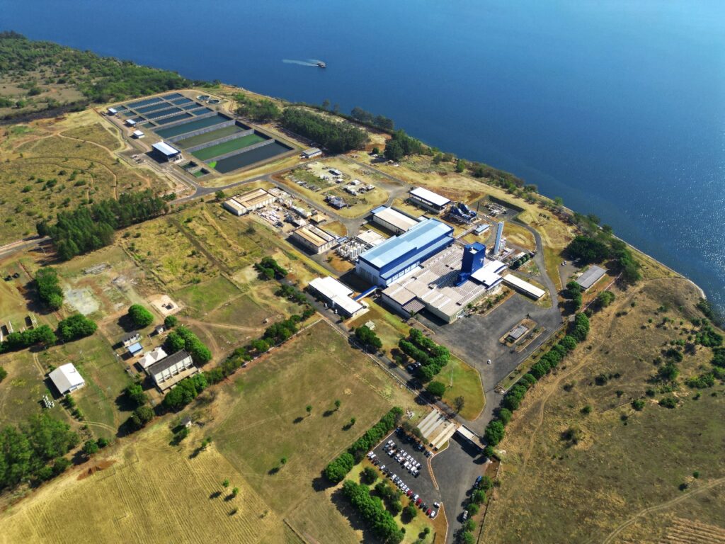 imagem do whatsapp de 2025 08 18 à(s) 14.58.36 41460d66