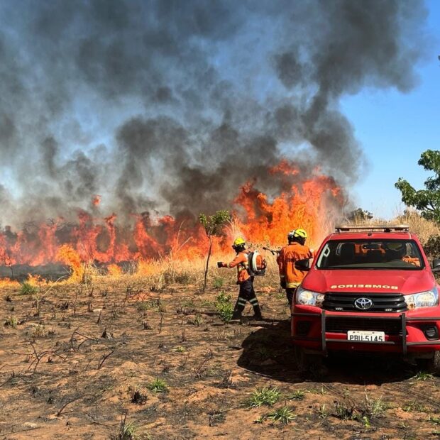 imagem do whatsapp de 2025 08 17 à(s) 18.58.09 1a8878e8