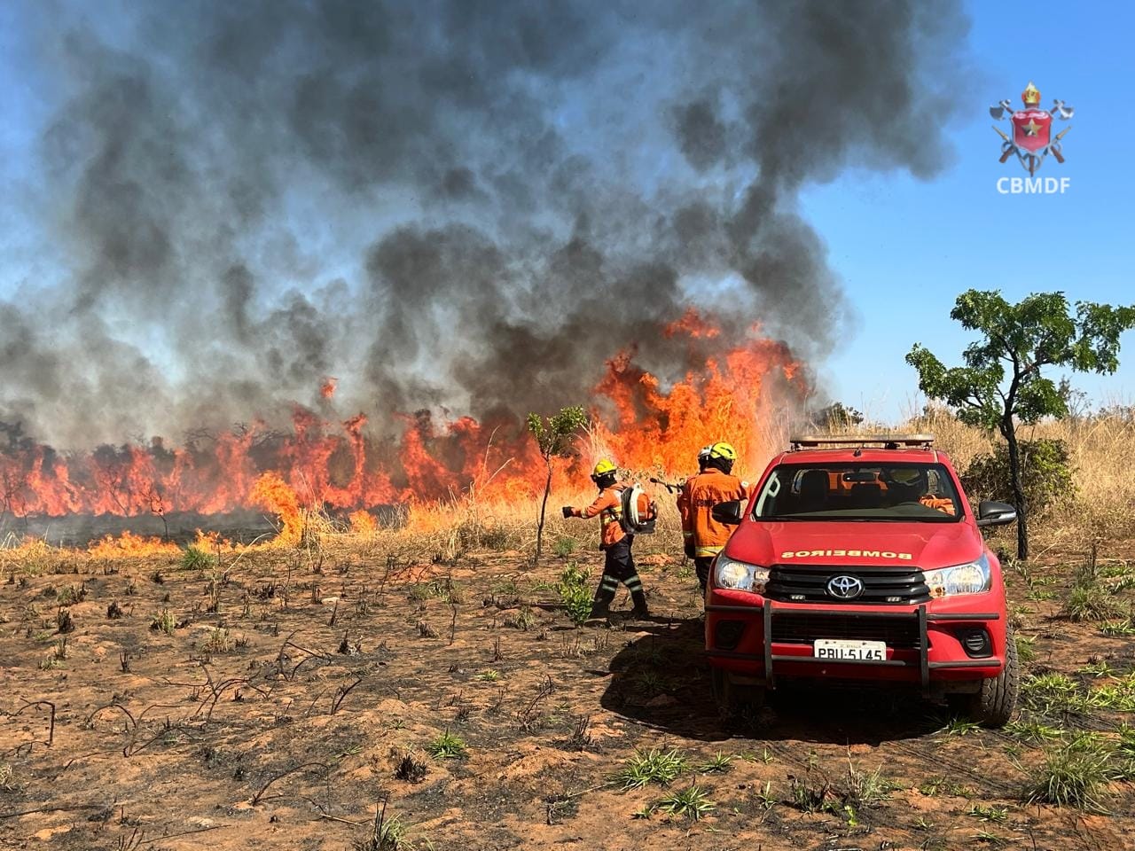 imagem do whatsapp de 2025 08 17 à(s) 18.58.09 1a8878e8