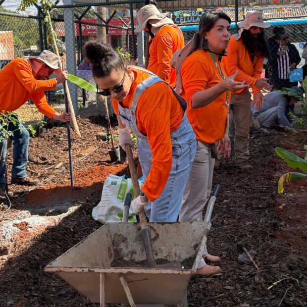 plantando (1)