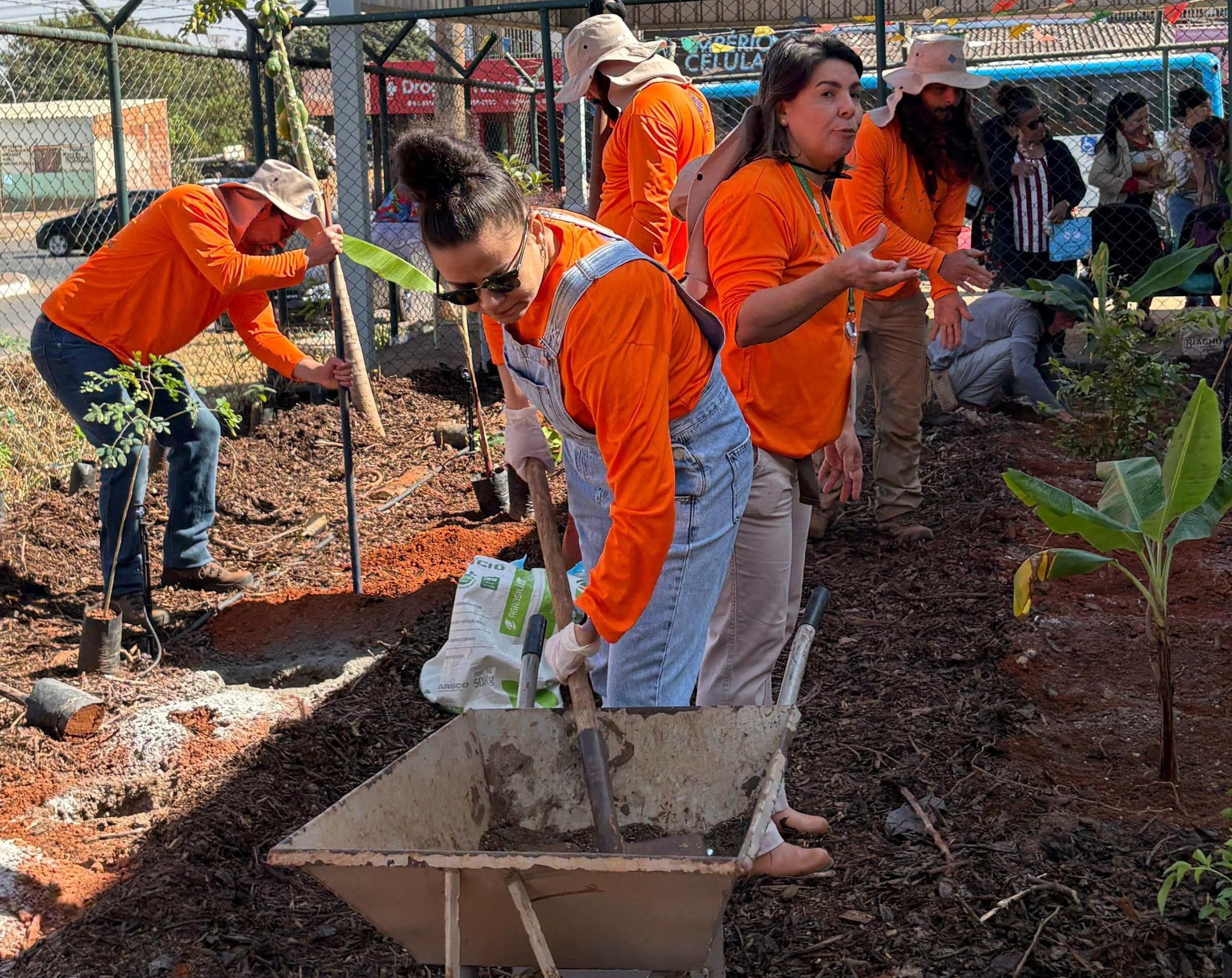 plantando (1)