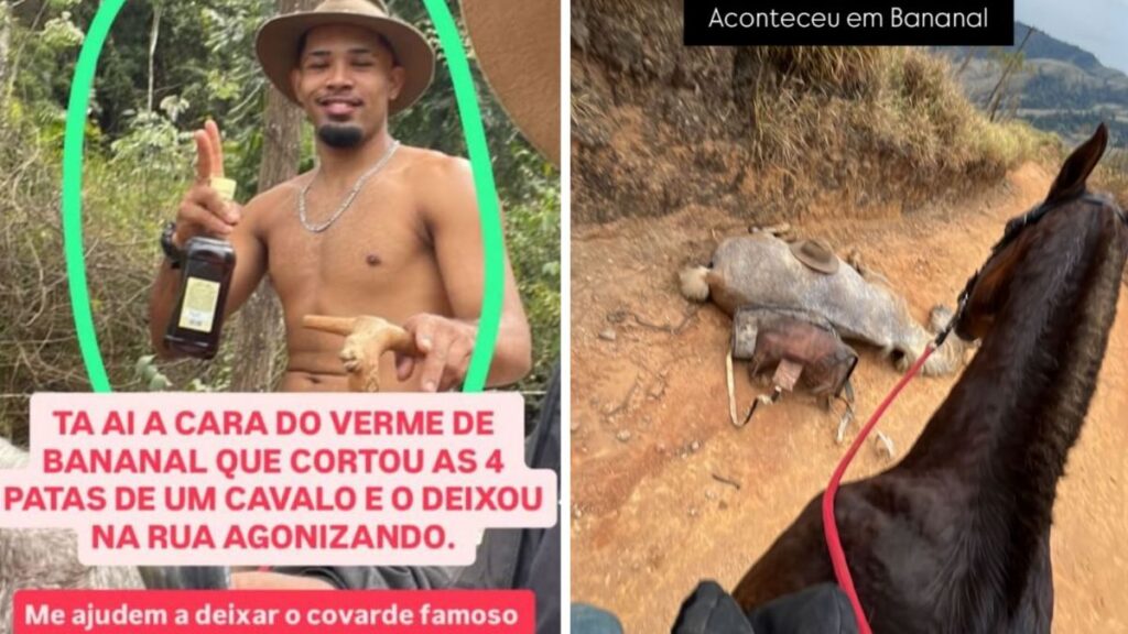 imagem do whatsapp de 2025 08 19 à(s) 12.23.07 e0298390