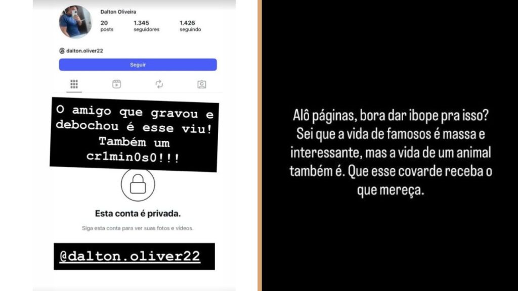 imagem do whatsapp de 2025 08 19 à(s) 12.23.07 2893da83