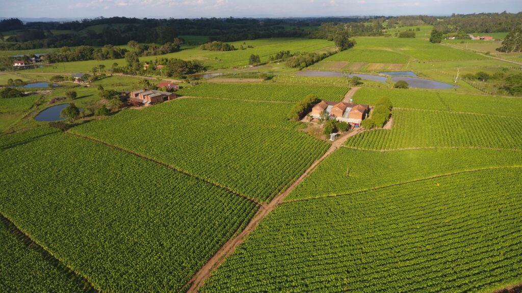 imagem do whatsapp de 2025 08 19 à(s) 11.23.42 85d65654