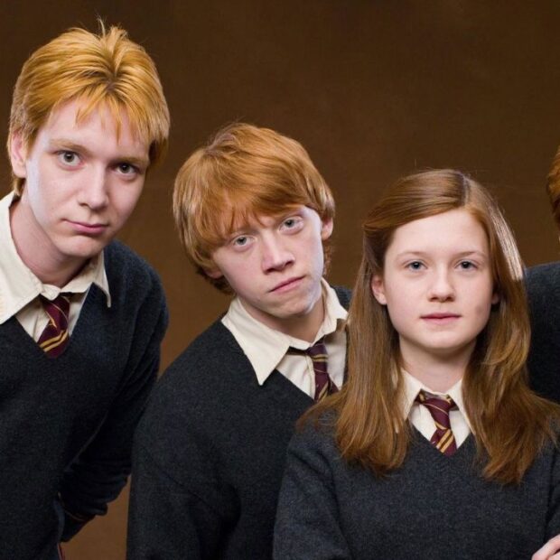 harry potter weasleys