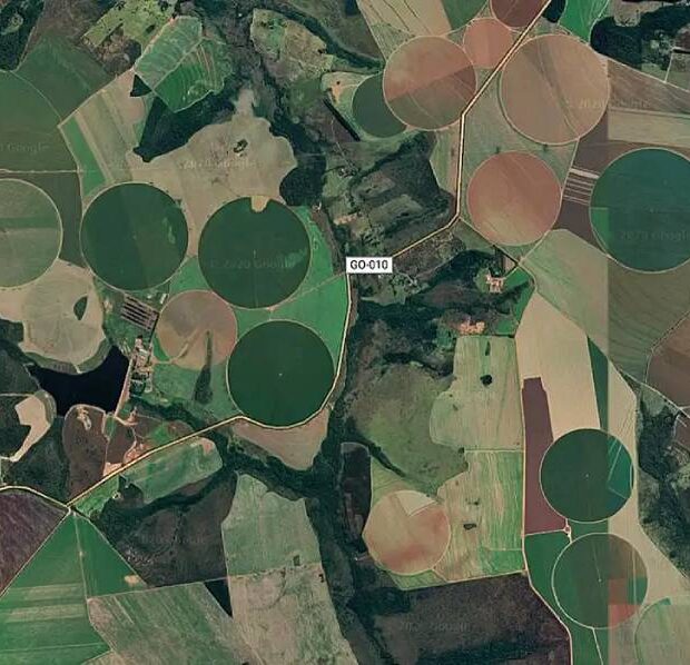 plantacao de satelite