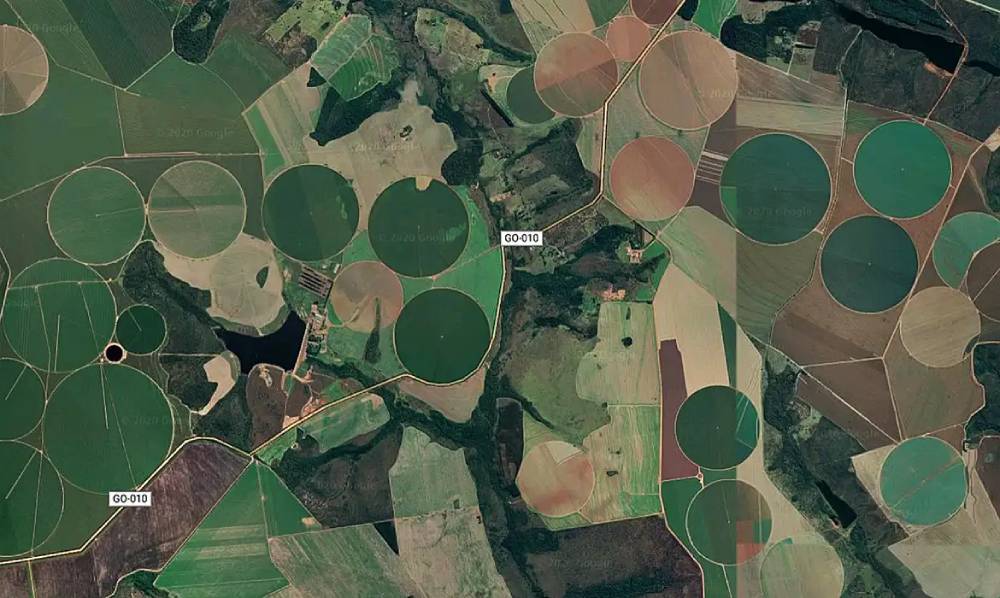 plantacao de satelite