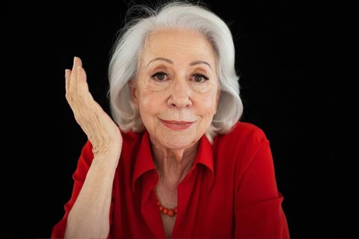 fernanda montenegro 1