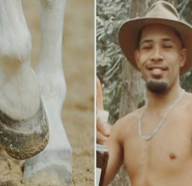 cavalo em bananal (1)