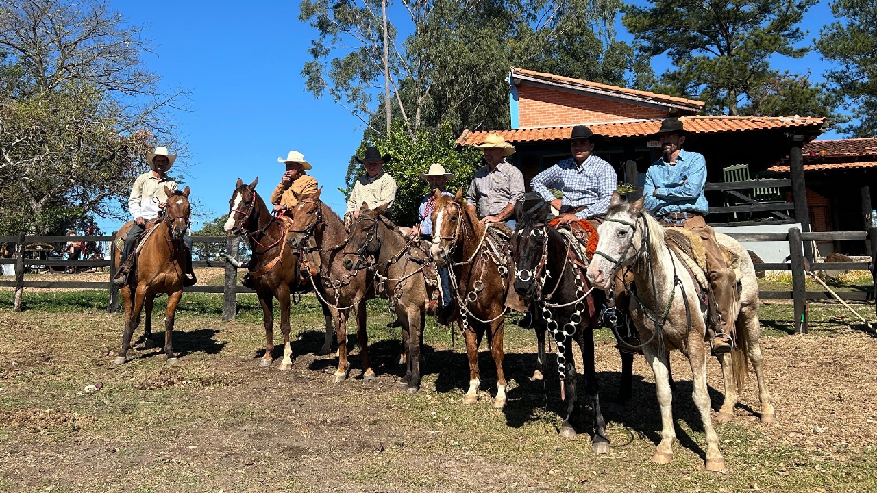 imagem do whatsapp de 2025 08 20 à(s) 13.12.48 9008bedc