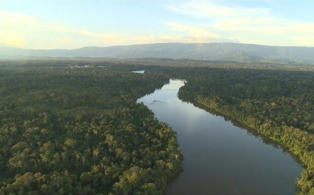 Foto: Reprodução/AFP