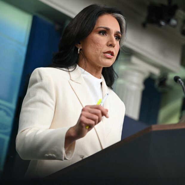 files us politics intelligence gabbard