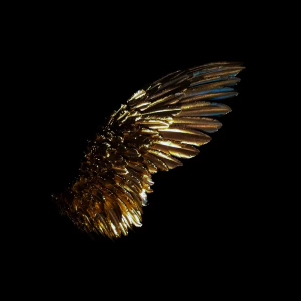 img 20250721 165102 008