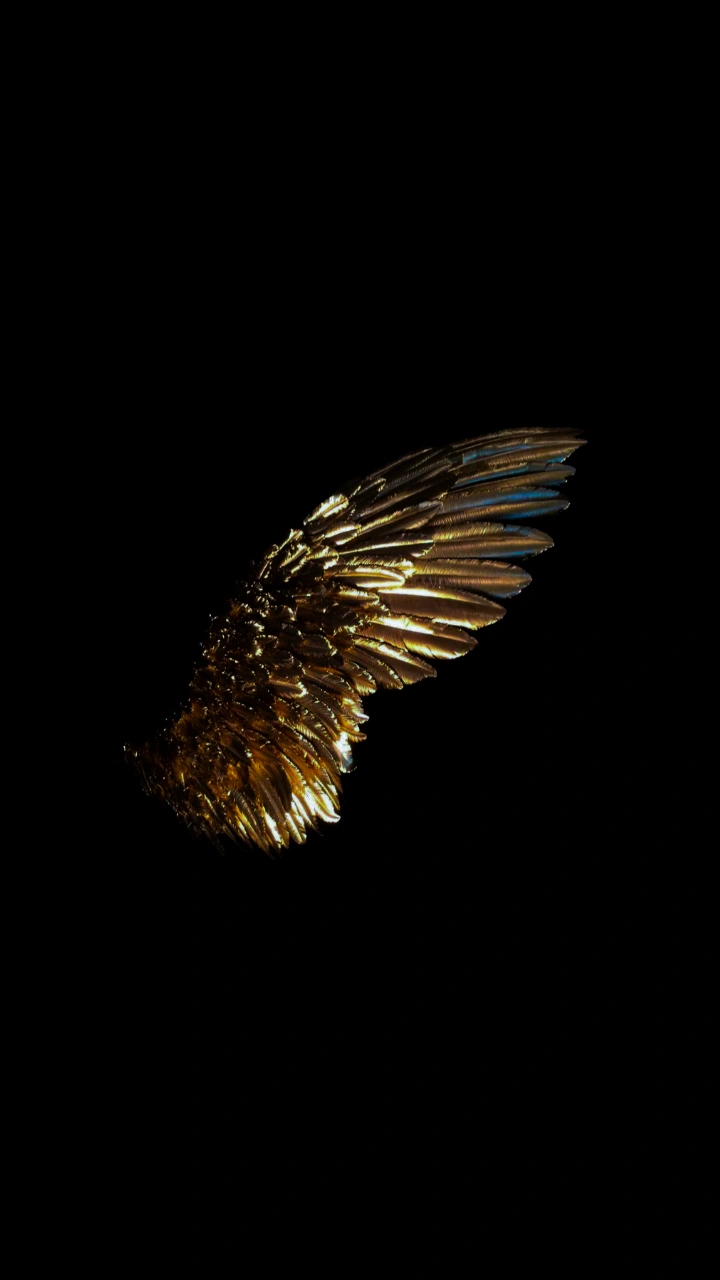 img 20250721 165102 008