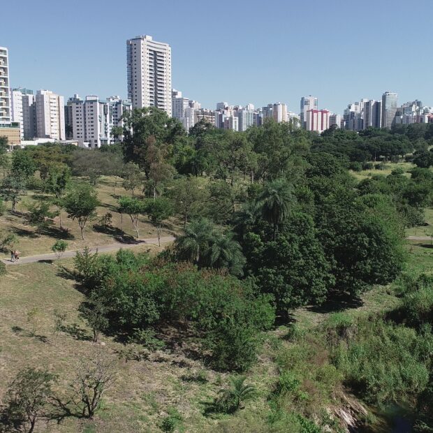 Foto: Divulgação/Brasília Ambiental