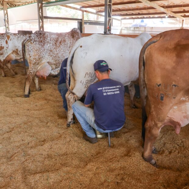 image 1200 0b2a466870975544f27dee1fe9d69cd8