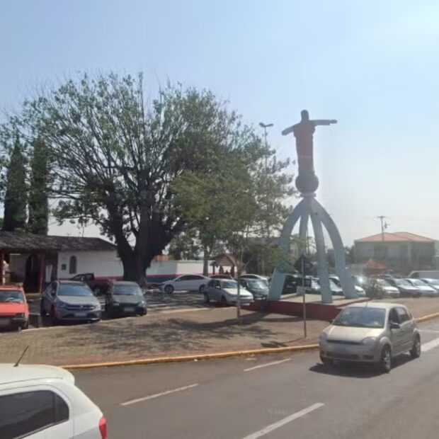 arvore apucarana 1