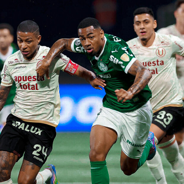 saveclip.app 536287406 1346019920216557 581196483653715787 n