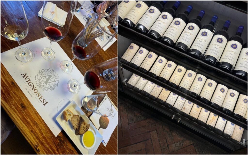 imagem do whatsapp de 2025 08 22 à(s) 16.04.08 63483af7